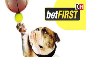 dh betfirst mascotte lucky chien balle tennis ballon basket